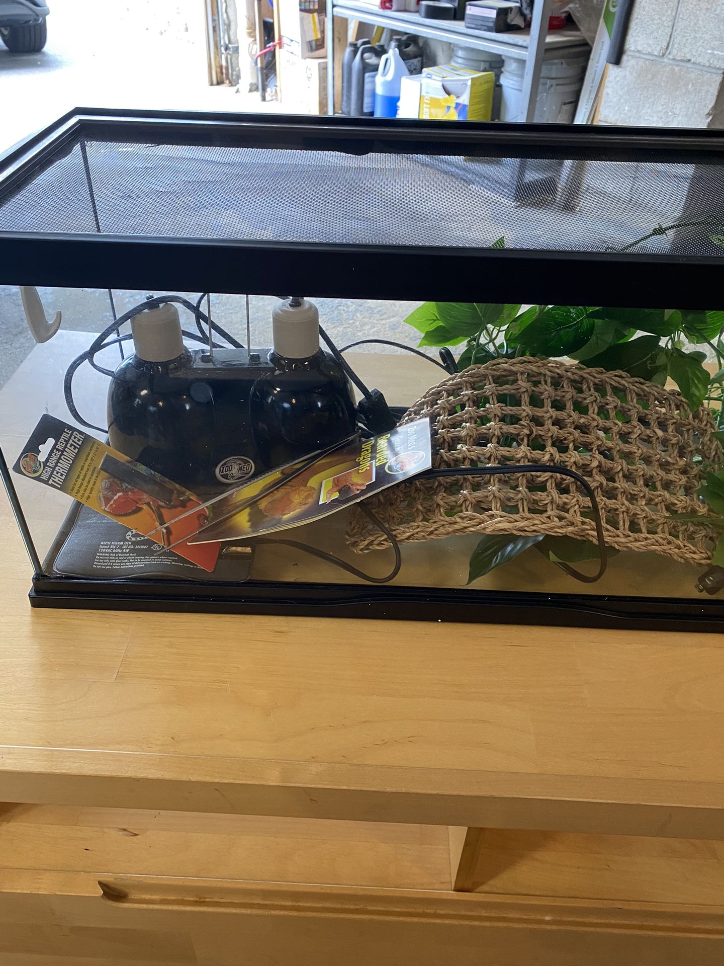 Lizard Tank 