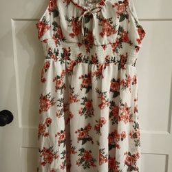 Dresses Size L
