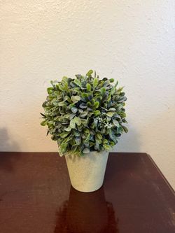 Faux Boxwood Topiary in Pot