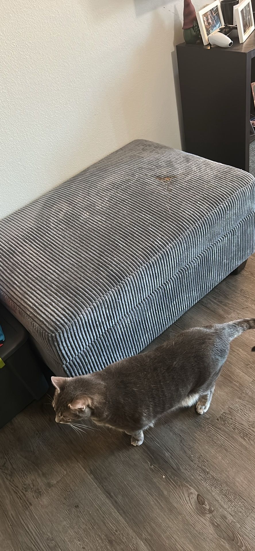 Couch And Storage Ottoman