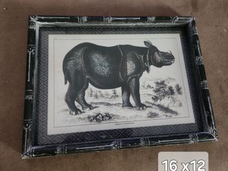 Framed Rhinoceros Antique-Style Print 16x12 brand jew