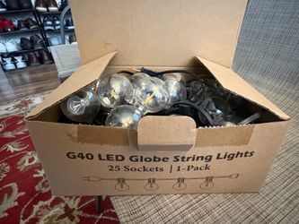 25 ft LED String Lights