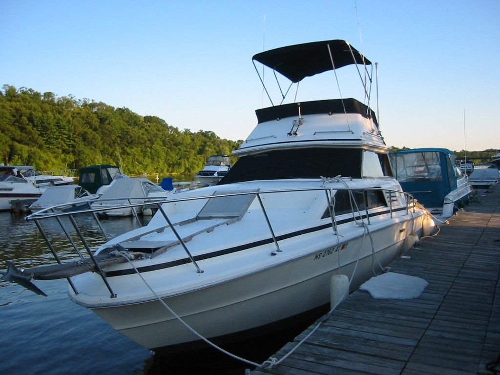 Photo 1977 Sea Ray SRV300