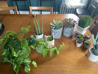 Lot of Artificial Plants!