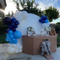 Balloon Garland