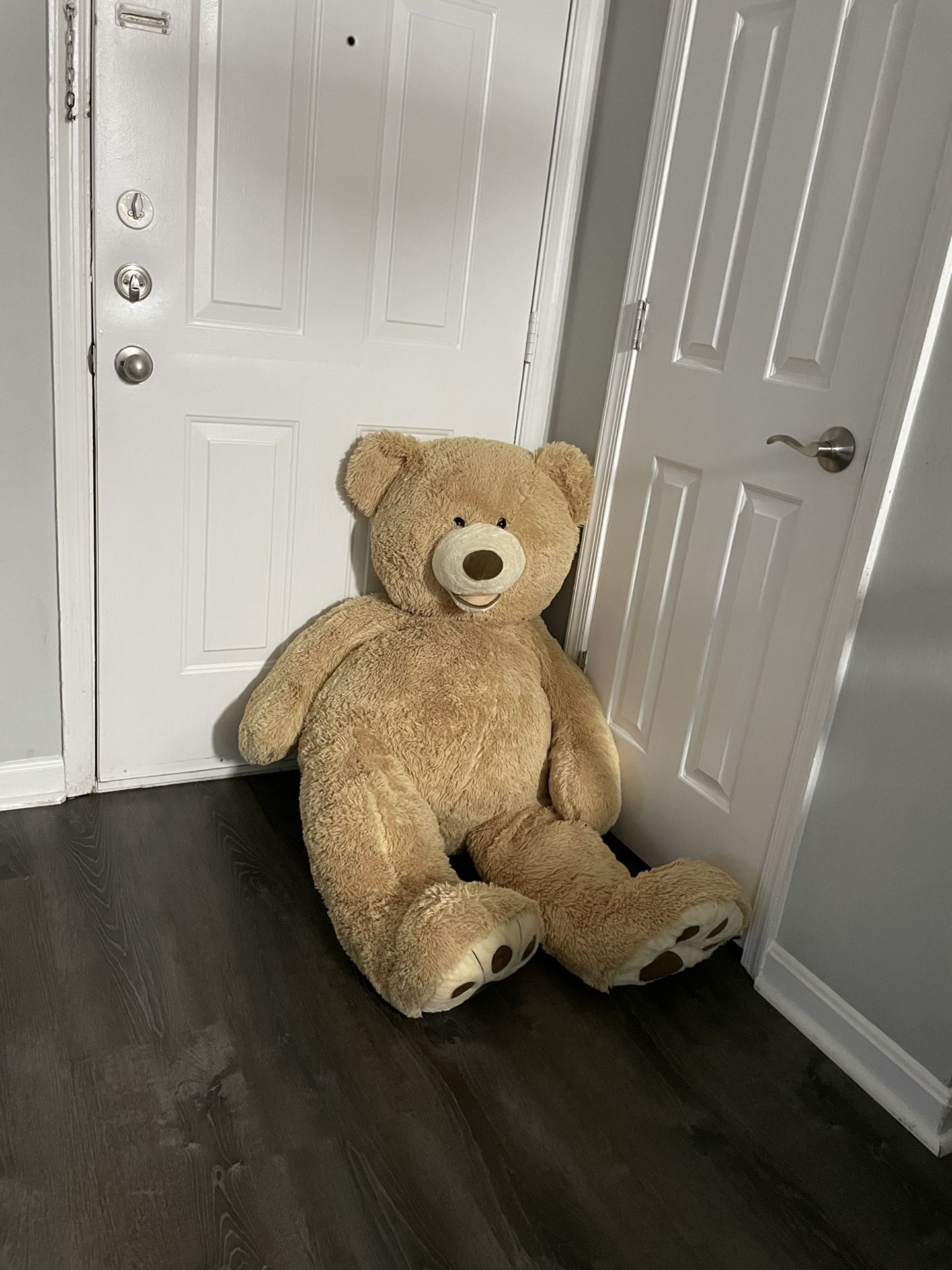 Giant Bear $100