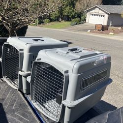 Medium Dog Kennel Crate Carrier Airline Approved like New 28” L by 20” W by 20” $35 Each 