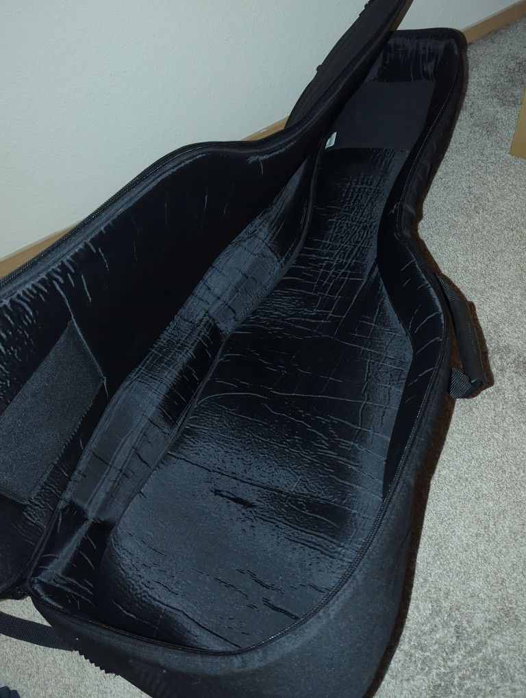 Road Runner Guitar Case