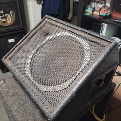 Peavey 112M Floor Monitor