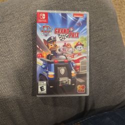 Paw Patrol Grand Prix (Nintendo Switch)