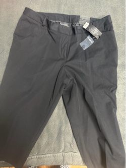 Lane Bryant capris dress pants