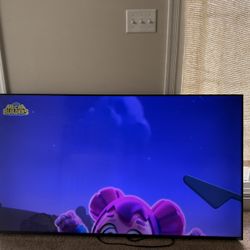 Vizio TV “55