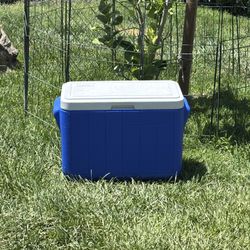 COLEMAN,ICE CHEST,COOLER