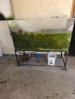 150 gallon acrylic tank,stand, filter and pump