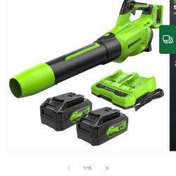Greenworks 48V (24V x2) 585 CFM Cordless Leaf Blower Kit 🍃