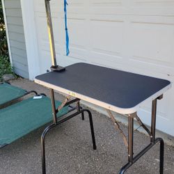 Dog Grooming Table And Grooming Arm
