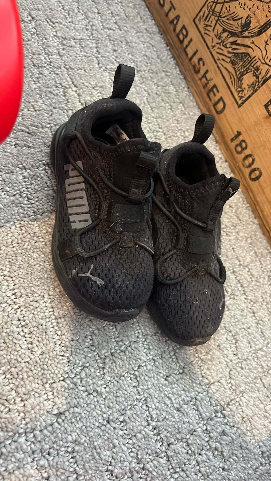 Puma Baby Shoes 