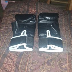 Everlast Boxin Gloves 