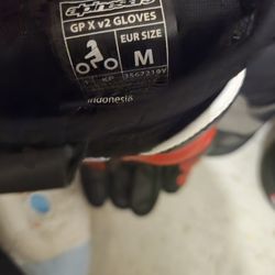 Men's motorcycle Alpine star Carbon fiber gloves