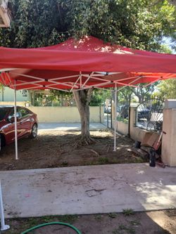 CARPA NEW 10X 10