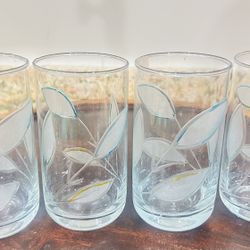 Glass Cups