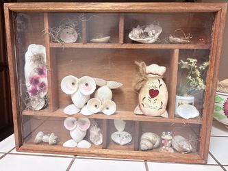 Wood and Glass Shadow Box with Seashell Art