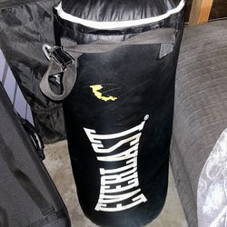 everlast punching bag