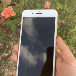 iPhone 8 Plus 256GB Comes With A FREE MONTH of Cricket Service, Unlimited Data and 15GB LTE WiFi Hotspot