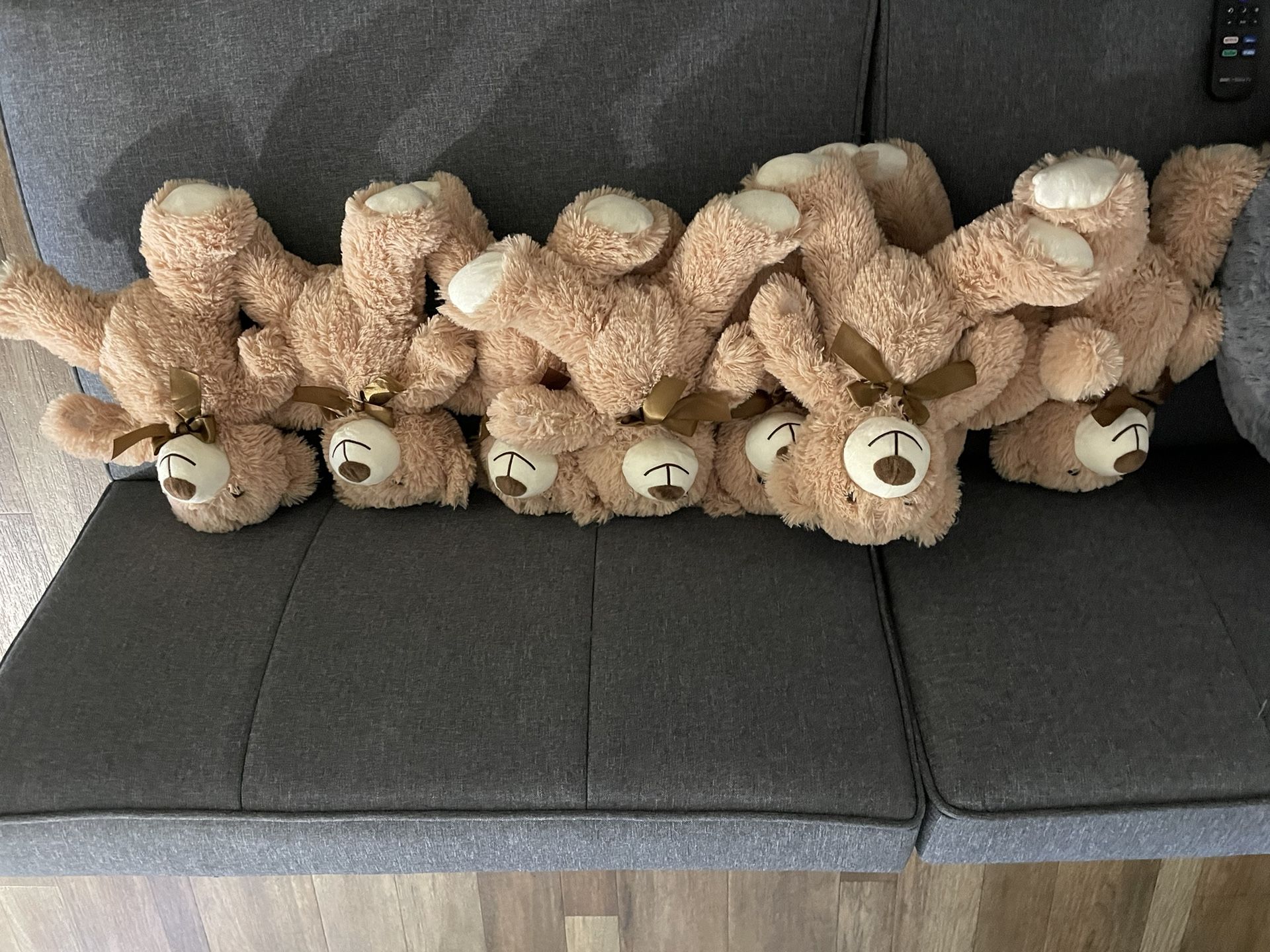 8 Bears