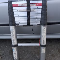 Nice Telescoping Ladder