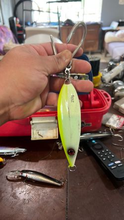 Bait cast for sale