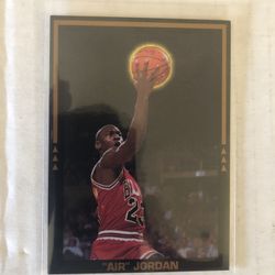 89-90 Air Jordan