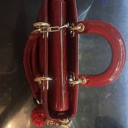 Dior Purse Hand Bag
