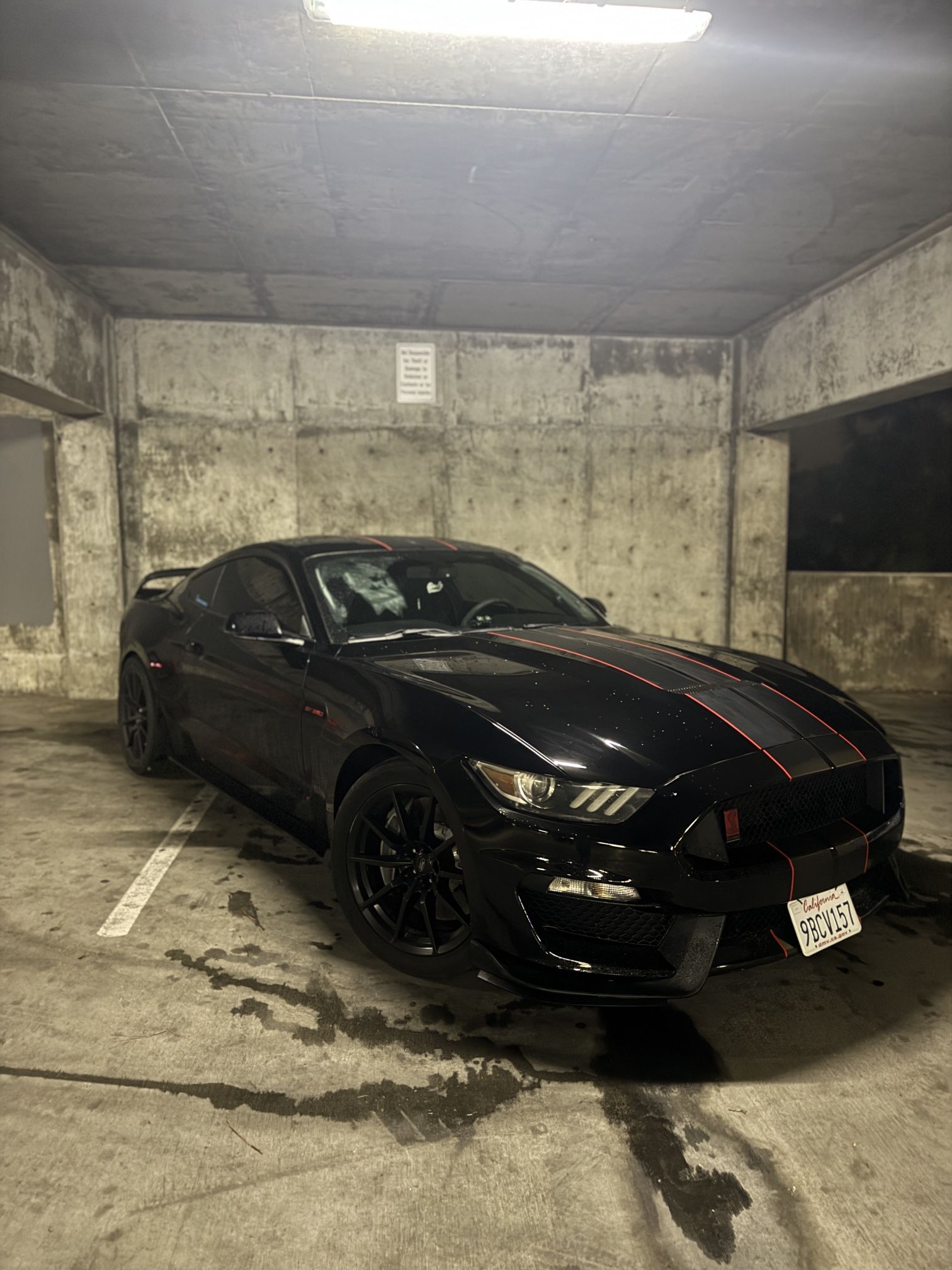 2016 Ford Shelby Gt350
