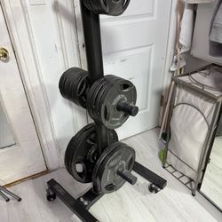 Olympic Weights, Gym Equipment 