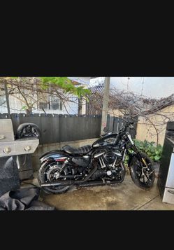 2018 Sportster