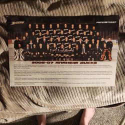 2006-2007 Anaheim Ducks Stanley Cup Team