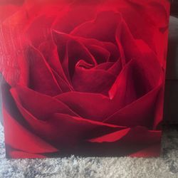 Had Painted Rose Canvas 