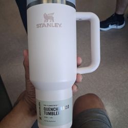 Pastel Pink Stanley 40 oz Straw Tumbler 