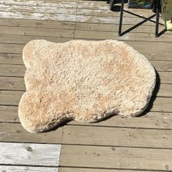 Dog Bed 