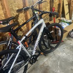 Specialized 