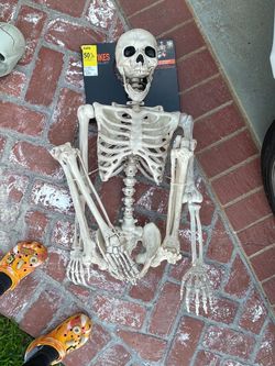 Halloween Skeleton