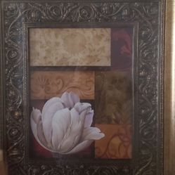 WHITE TULIP FRAME