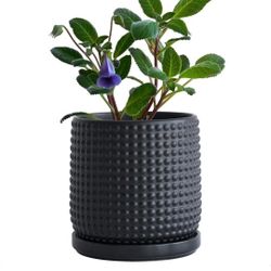 6 Inch Ceramic Beaded Stoneware Planter Pot - Flower Pot with Drainage Holes and Saucers for Indoor Succulent Plants or Flowers