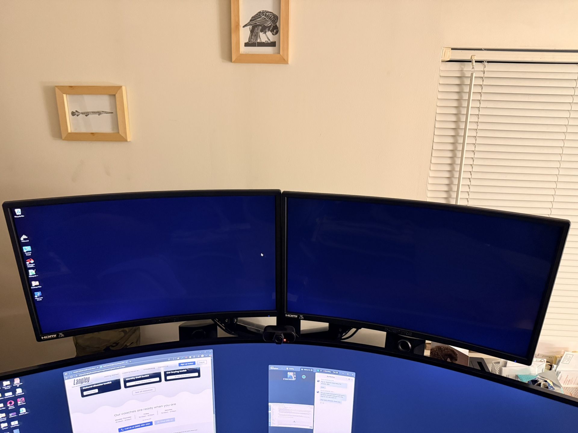 Monitor Setup For Sale