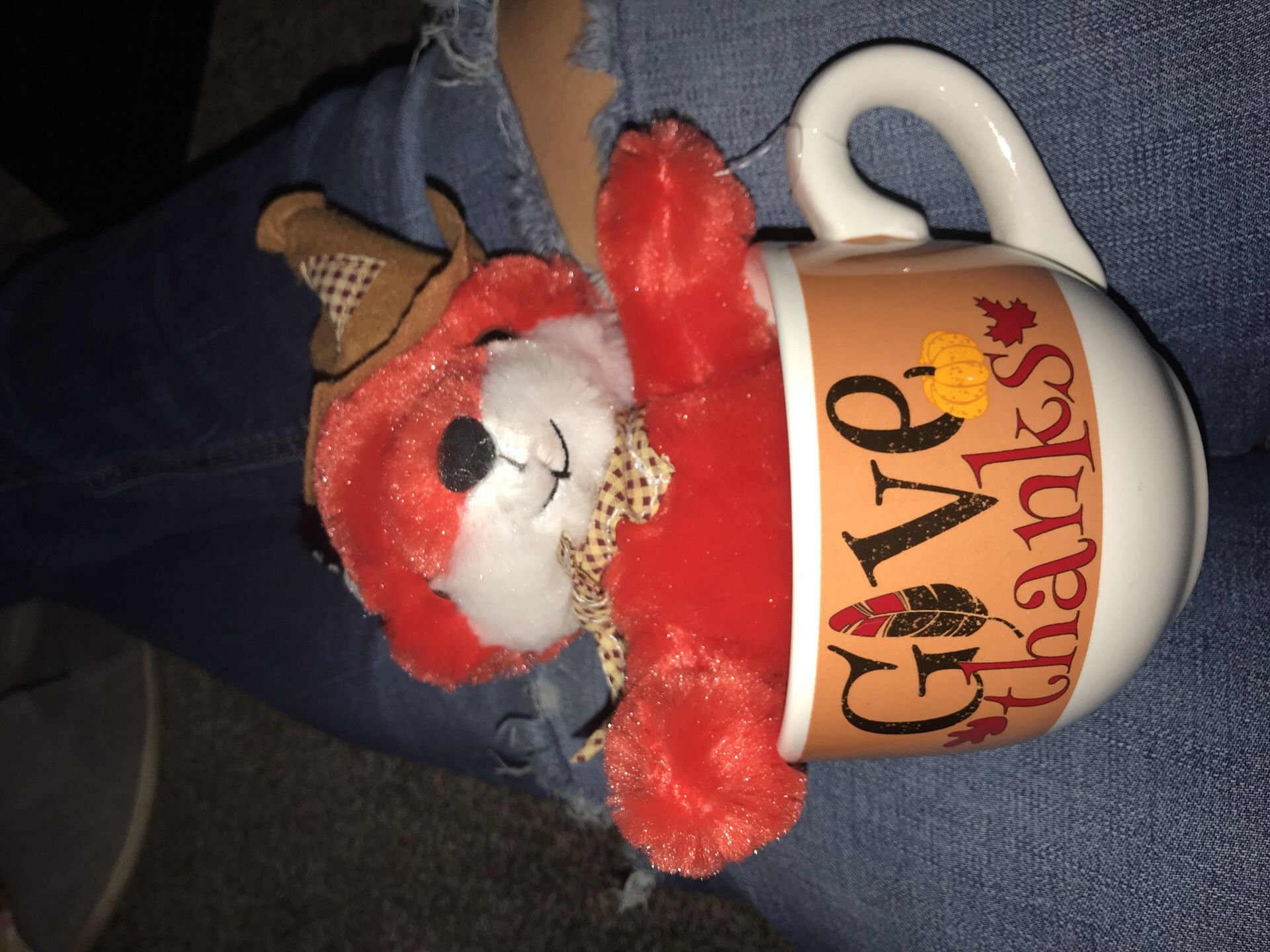 Thanksgiving day Stuffed animal and a mug