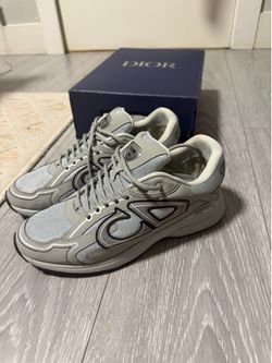 Dior b30 Reflective Grey