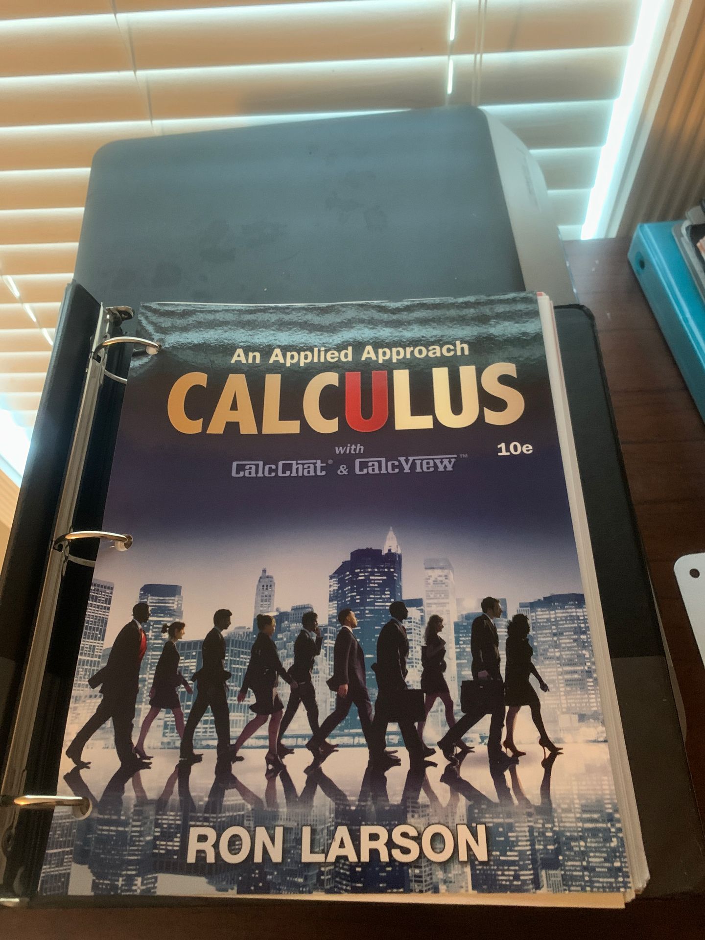 Calculus Book
