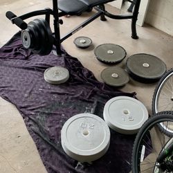 Weighted Plates 1$ Lbs