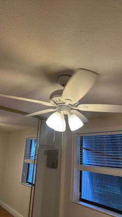 Ceiling fan